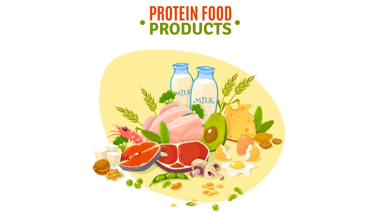10 Best Protein Rich Foods for Muscle and Energy Boost
